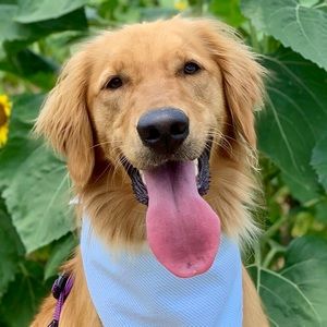 Meet your Posher, Annemarie